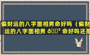 偏财运的八字面相男命好吗（偏财运的八字面相男 🌳 命好吗还是女命）